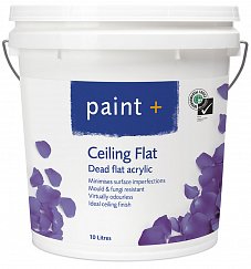 PAINT PLUS CEILING FLAT PAINT